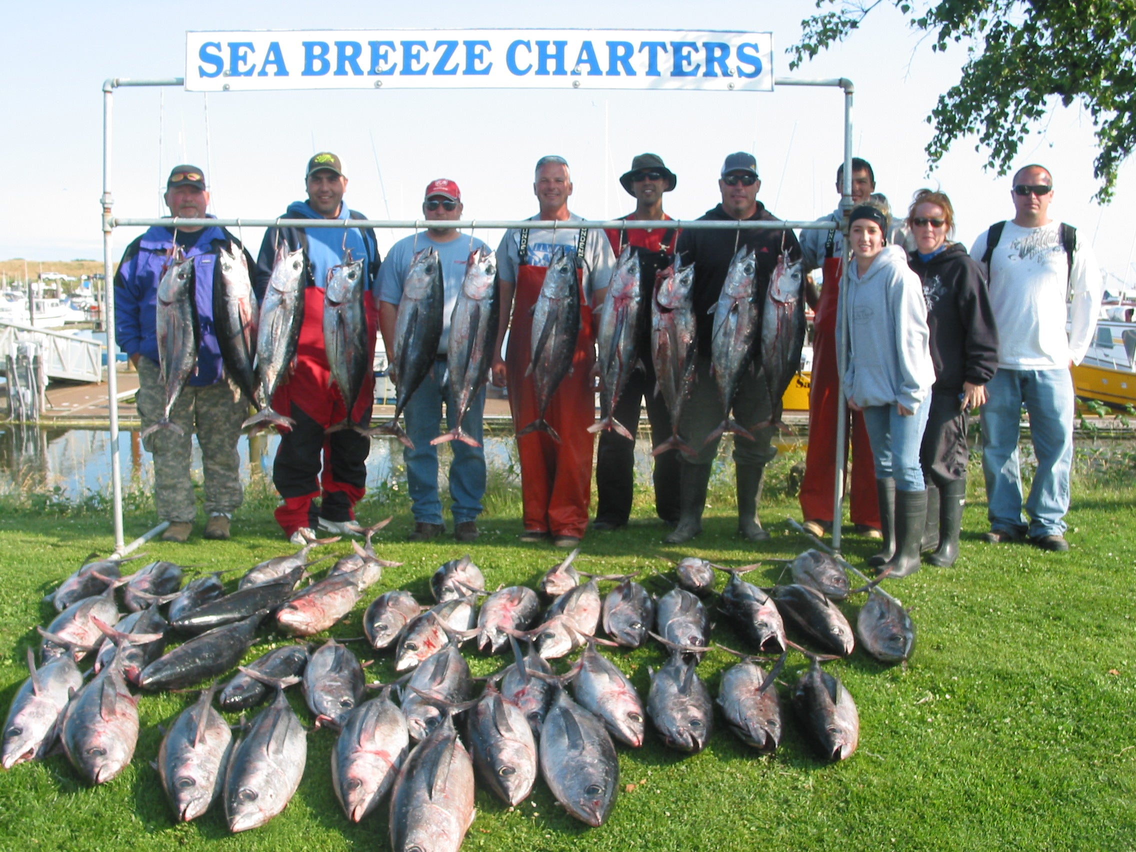 Albacore tuna  Washington Department of Fish & Wildlife