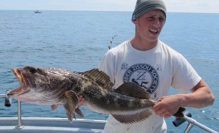 Bottom Fishing 